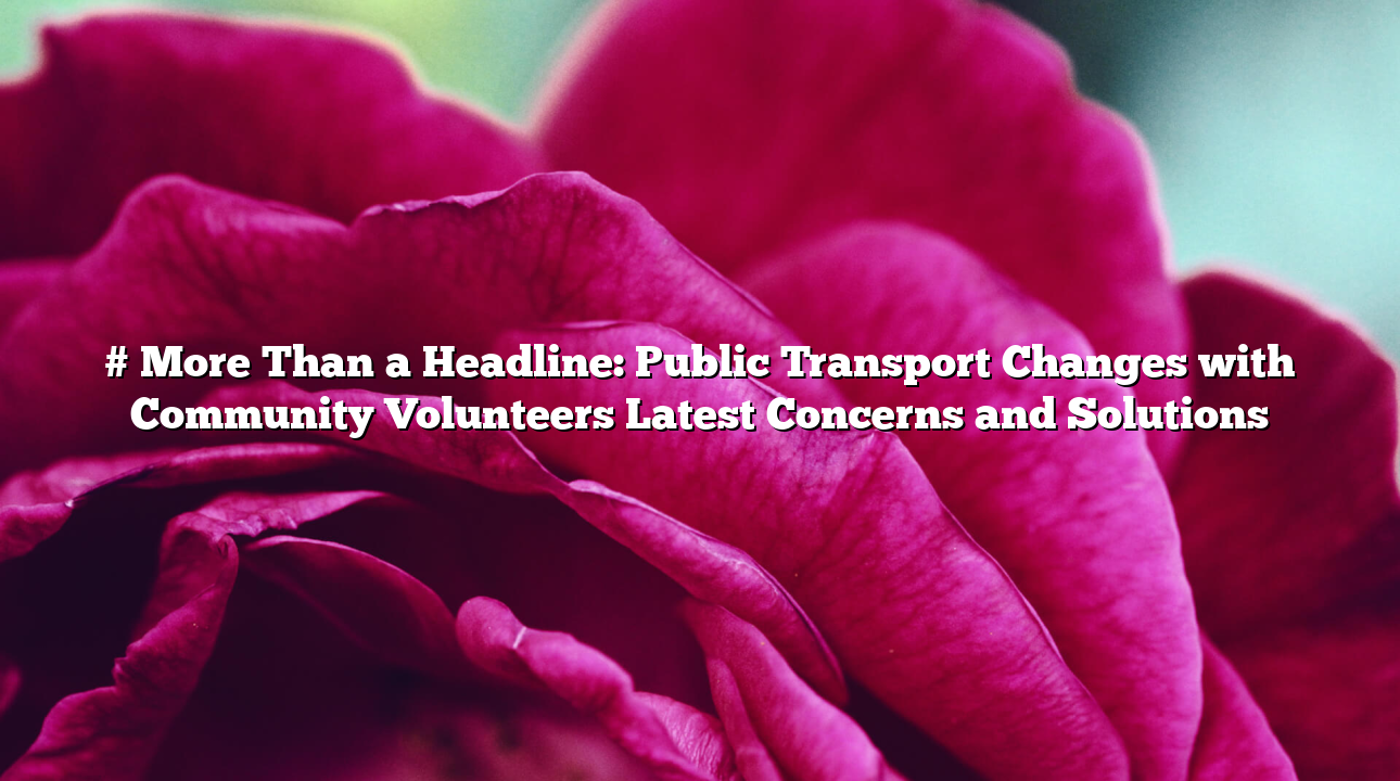 # More Than a Headline: Public Transport Changes with Community Volunteers Latest Concerns and Solutions