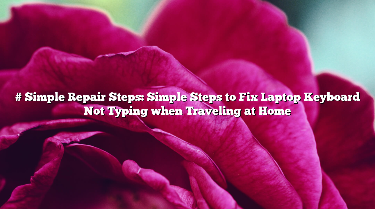 # Simple Repair Steps: Simple Steps to Fix Laptop Keyboard Not Typing when Traveling at Home