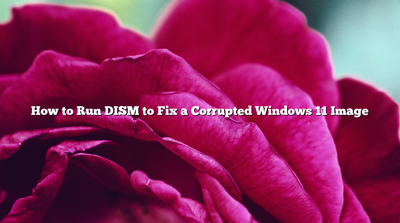 How to Run DISM to Fix a Corrupted Windows 11 Image