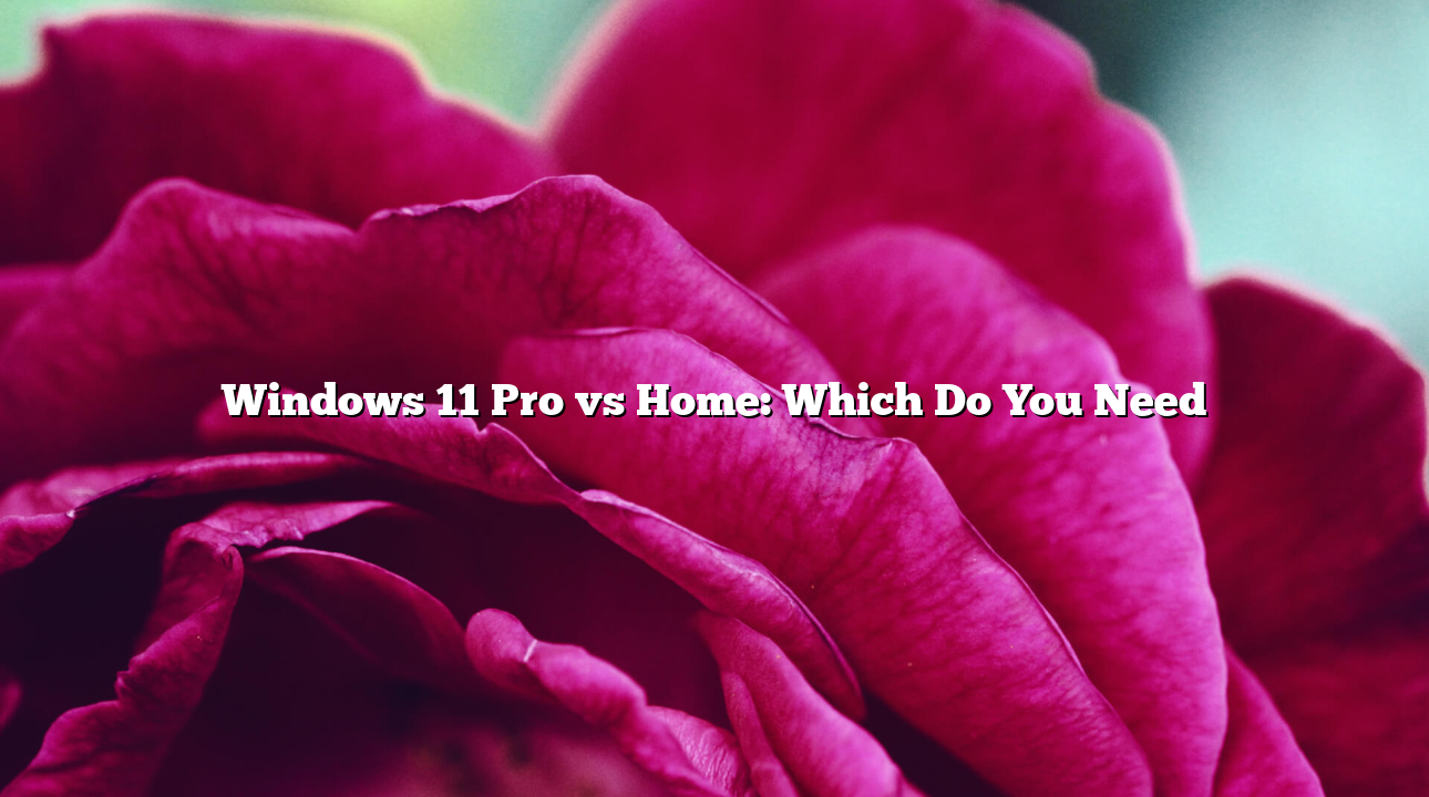 Windows 11 Pro vs Home: Which Do You Need